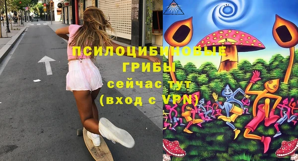 таблы Вяземский
