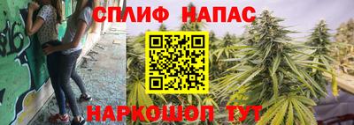 меф Дубна