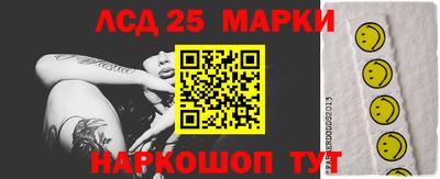 дмт Донской