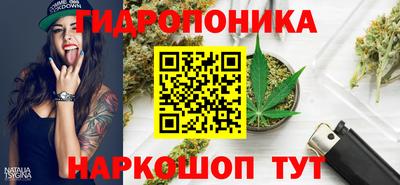 дмт Донской