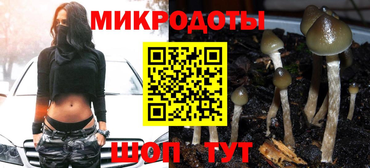 Псилоцибиновые грибы мицелий Муром